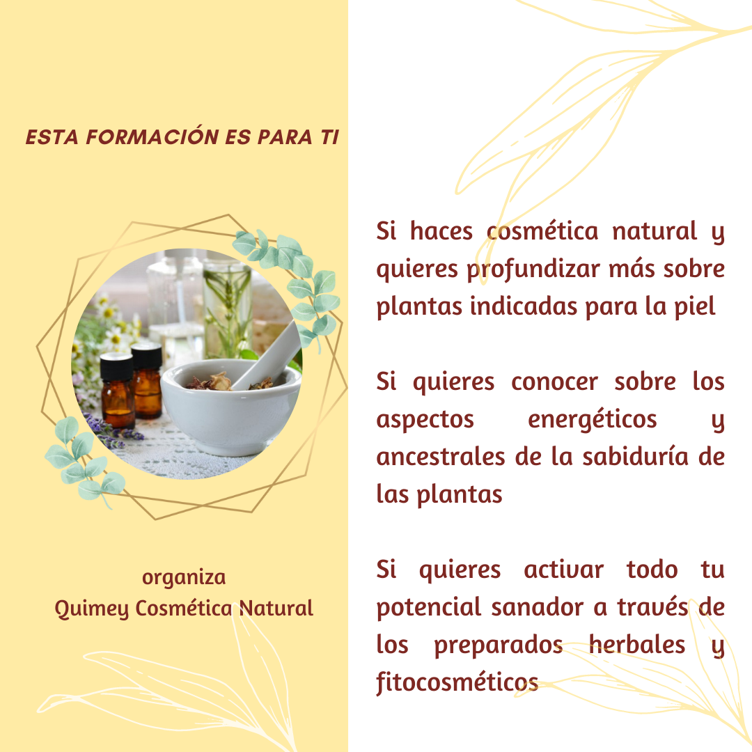 Formación Herbolaria y Fitocosmética - Imagen 3