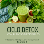 Ciclo Detox con Plantas Medicinales 7mo año