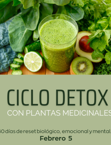 Ciclo Detox con Plantas Medicinales 7mo año